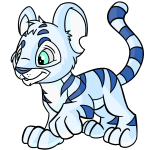 White Kougra