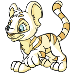 White Kougra