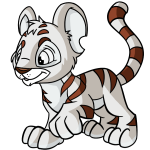 Nautilus White Kougra