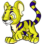 Yellow Kougra
