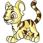 Banana Yellow Kougra