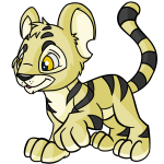 Wasp Yellow Kougra
