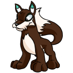 Polar Brown Lupe