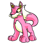 Pink Lupe