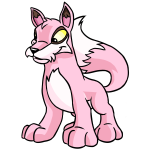 Sakura Pink Lupe