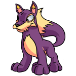 Purple Lupe - (Dusk)