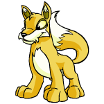 Yellow Lupe