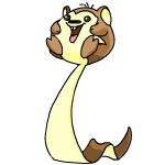 Brown Meerca