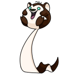 Polar Brown Meerca