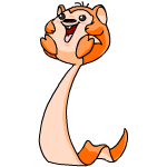 Orange Meerca
