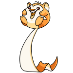 Dreamsicle Orange Meerca