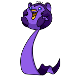 Regal Purple Meerca