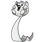 White Meerca - (Nautilus)