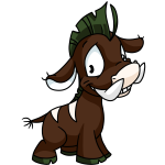 Brown Moehog