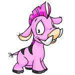 Pink Moehog