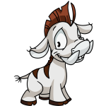 White Moehog