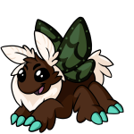 Brown Motere - (Polar)