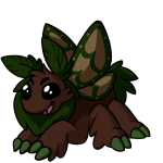 Soil Brown Motere