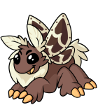 Brown Motere