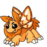 Orange Motere