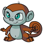 Oxide Brown Mynci