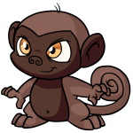 Brown Mynci