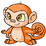 Orange Mynci