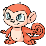 Orange Mynci