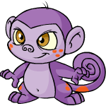 Purple Mynci