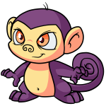 Purple Mynci