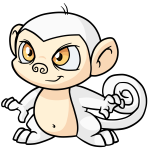 White Mynci