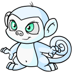 White Mynci