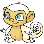 White Mynci - (Egg)