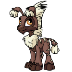 Brown Ogrin