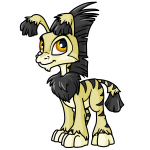 Wasp Yellow Ogrin