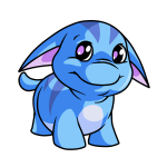 Dream Blue Poogle