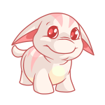 Albino Cream Poogle