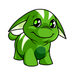 Emerald Green Poogle