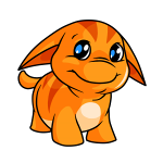 Orange Poogle