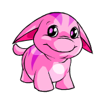 Pink Poogle