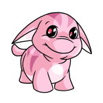 Pink Poogle