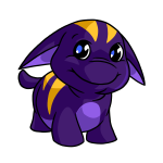 Regal Purple Poogle