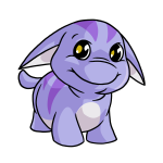 Wisteria Purple Poogle