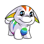 Rainbow Poogle