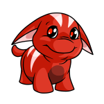 Ruby Red Poogle