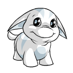 White Poogle