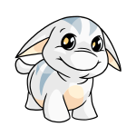 Arctic White Poogle