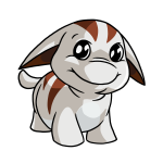 White Poogle