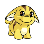 Banana Yellow Poogle