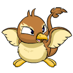 Brown Pteri